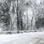 PHOTO-2021-02-19-13-53-08 (20)